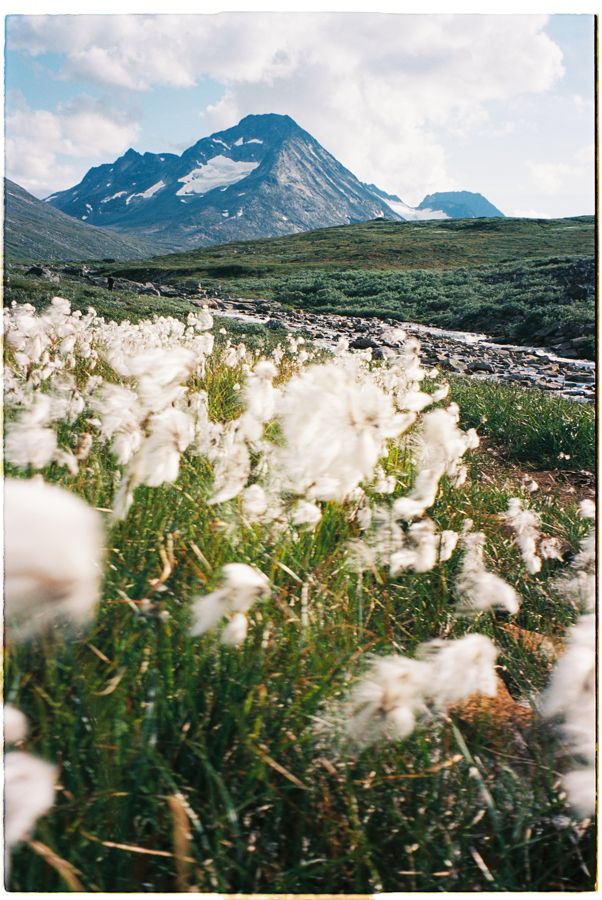 Bre og fjell